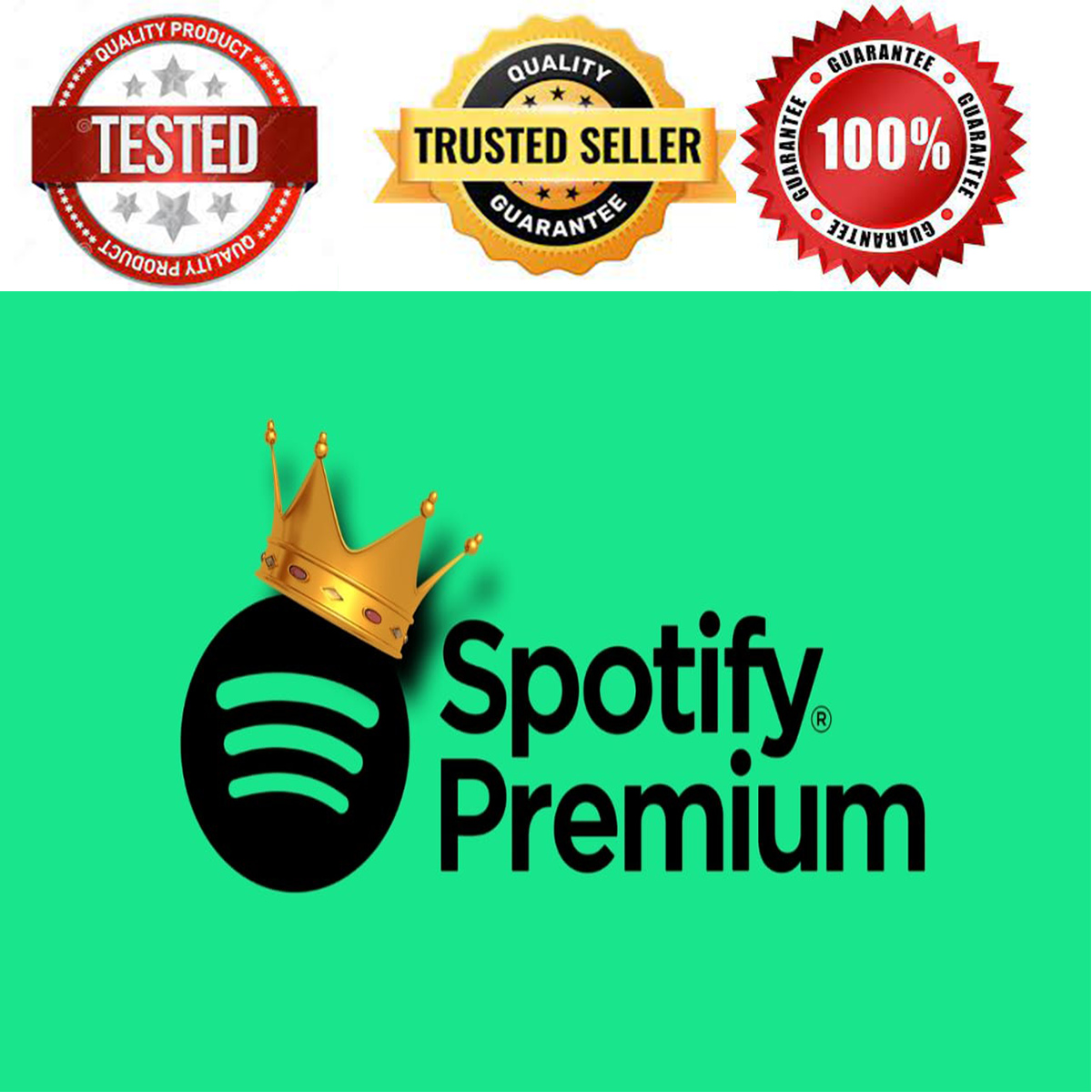 SPOTIFY PREMIUM – 6 MONTHS & 1 YEAR